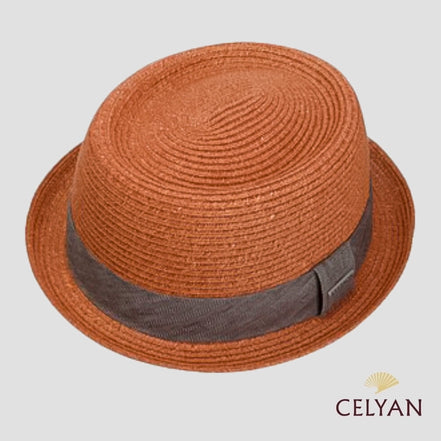 Pork Pie Toyo Tostado Stetson
