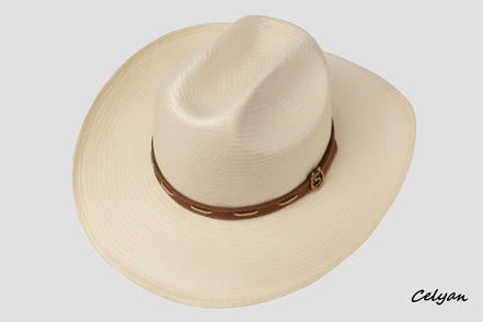 Western Toyo Stetson