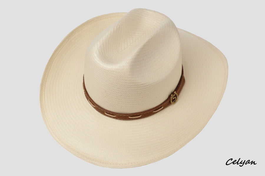 Western Toyo Stetson
