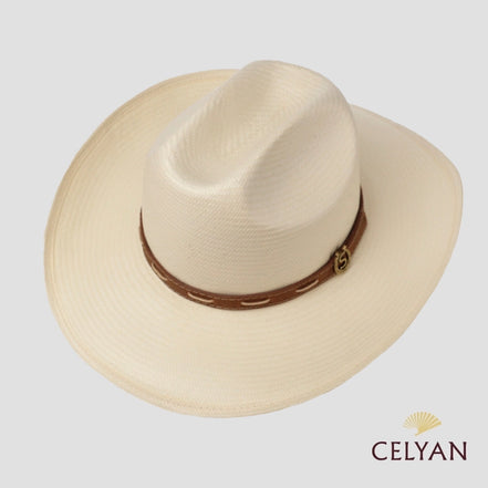 Western Toyo Stetson